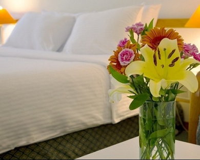 Homa Hotel Tehran 31