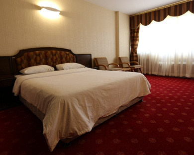 Irangardi Jahangardi Meygoon Hotel Tehran 24