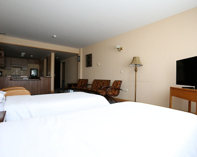 Irangardi Jahangardi Meygoon Hotel Tehran 25