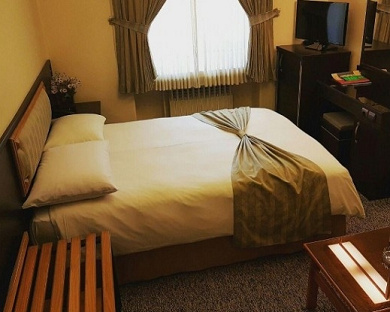 Iranshahr Hotel Tehran 17