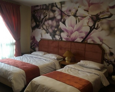 Khaneh Sabz Hotel Mashhad 20