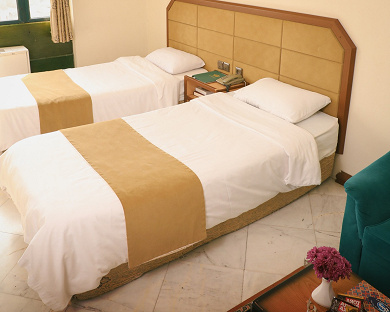 Khaneh Sabz Hotel Mashhad 7