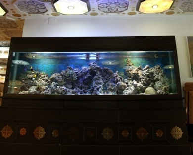 Kosar Hotel Tehran 33