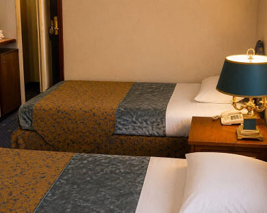 Laleh Hotel Tehran 6