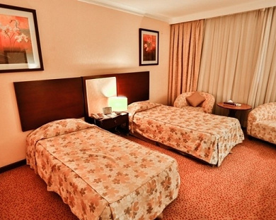 Laleh Hotel Tehran 37