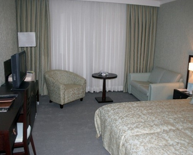 Laleh Hotel Tehran 41