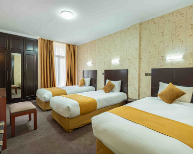 Mashhad Hotel Tehran 2