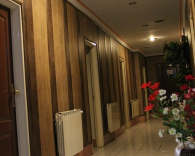 Mehr Hotel Tehran 9