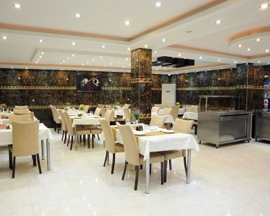 Mina Hotel Tehran 8