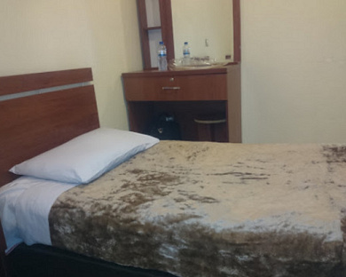 Mina Hotel Tehran 21