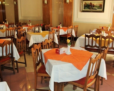 Oreen Hotel Tehran 8