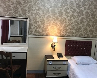 Oreen Hotel Tehran 12