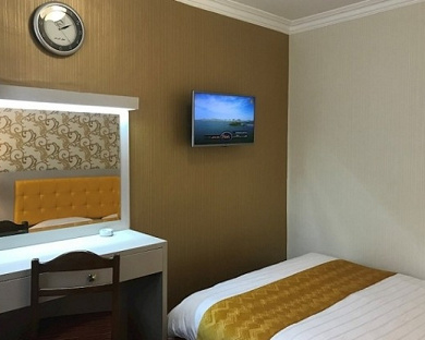Oreen Hotel Tehran 10