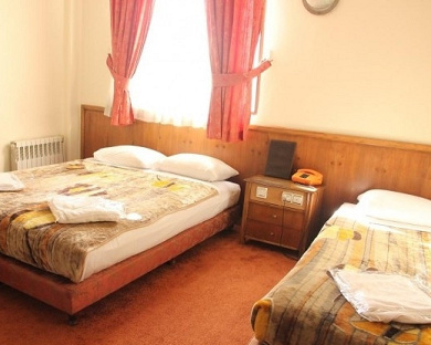 Oreen Hotel Tehran 25
