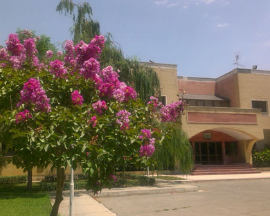Pajouhesh Hotel Tehran
