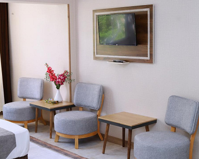 Paradise Hotel Tehran 21