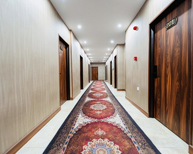 Paradise Hotel Tehran 5