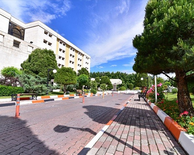 Pardisan Hotel Mashhad 8