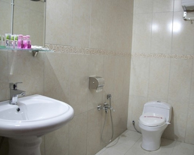 Park Plaza Hotel (formerly Hejab) Hotel Tehran 7
