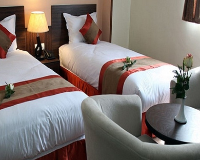 Park Plaza Hotel (formerly Hejab) Hotel Tehran 11