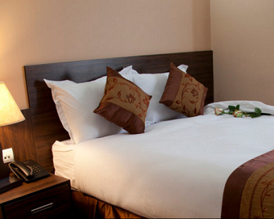 Park Plaza Hotel (formerly Hejab) Hotel Tehran 16