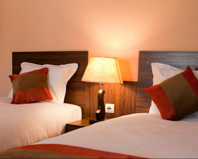 Park Plaza Hotel (formerly Hejab) Hotel Tehran 17