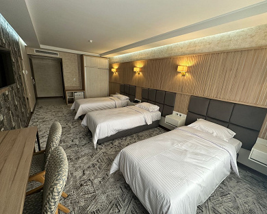 Park Way Hotel Tehran 7