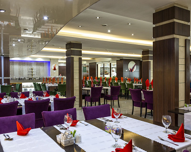 Evin Hotel Tehran 5