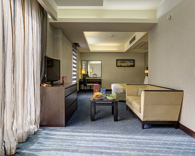 Evin Hotel Tehran 8