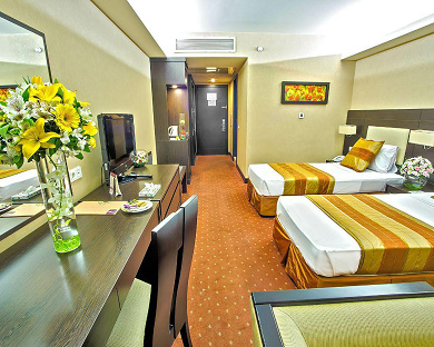 Evin Hotel Tehran 58