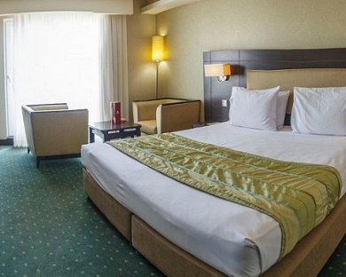 Evin Hotel Tehran 12
