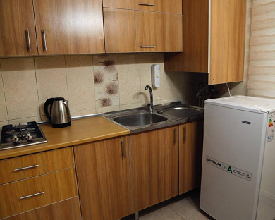 Persian Plaza Motahari Traveler House Tehran 8