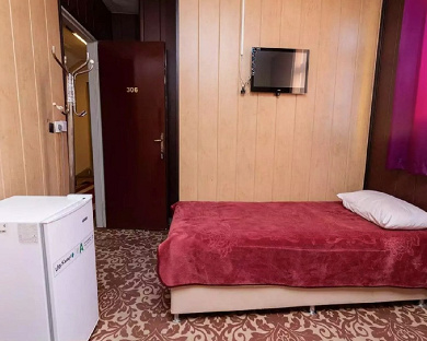 Pirooz Hotel Tehran 5
