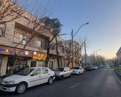 Pirooz Hotel Tehran 2