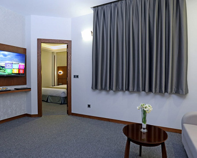 Ritz Hotel Tehran 11