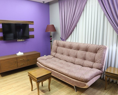 Ronia Apartment Hotel Tehran 9