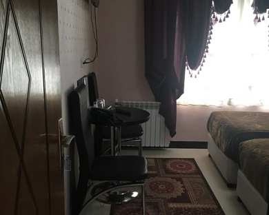 Saeid Hotel Tehran 3