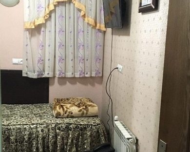 Saeid Hotel Tehran 7