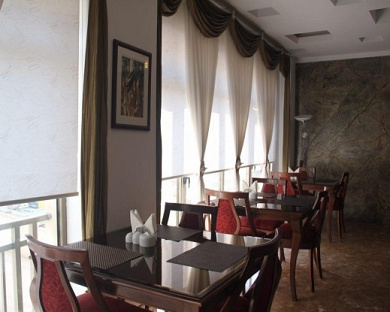 Saina Hotel Tehran 4