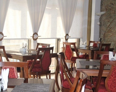 Saina Hotel Tehran 12