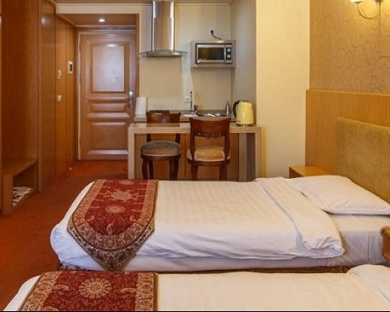 Saina Hotel Tehran 19
