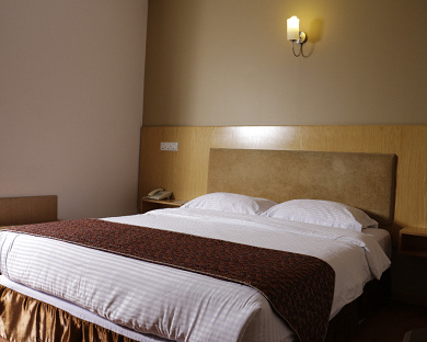 Saina Hotel Tehran 22