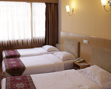 Saina Hotel Tehran 24