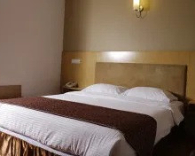 Saina Hotel Tehran 26