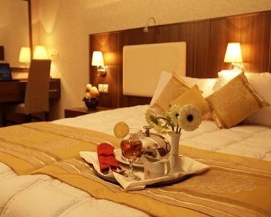 Shahr Hotel Tehran 45