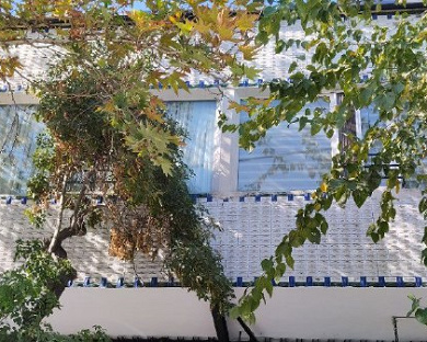 Shahriyar Novin Hotel Tehran 15