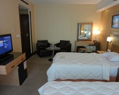 Simorgh Hotel Tehran 14