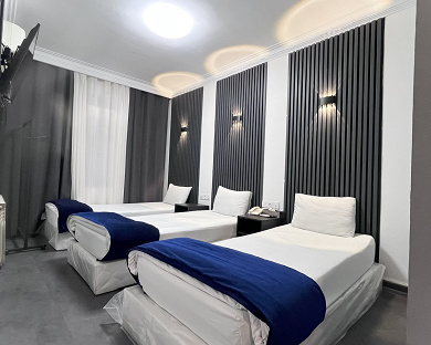 Taban Hotel Tehran 5