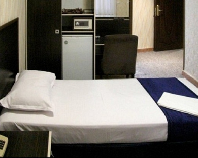 Taban Hotel Tehran 12