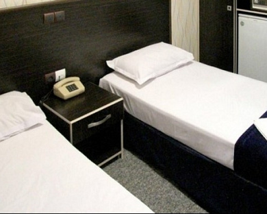 Taban Hotel Tehran 21